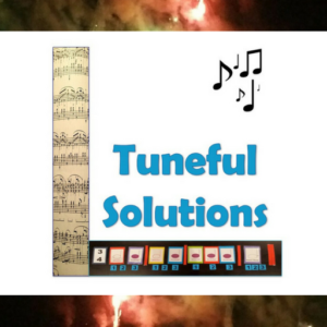 Tuneful Solutions A Store for all you Musical Needs