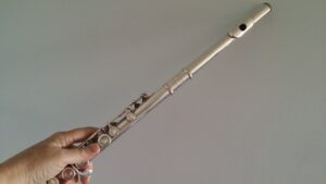 Start Learning Flute With A Flute