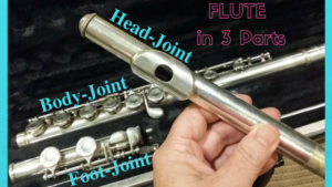 head-joint body-joint foot-joint